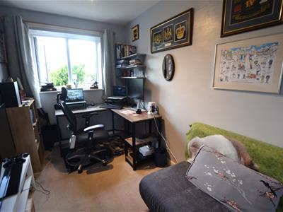 Picture 17